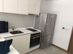 Lakeville (D22), Condominium #569791921